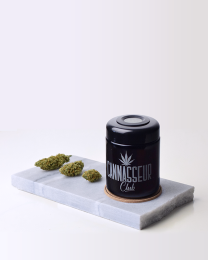 Humidor Medium - Cannasseur Club®